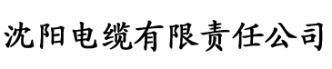 日韩欧美精品有码在线观看电缆厂logo